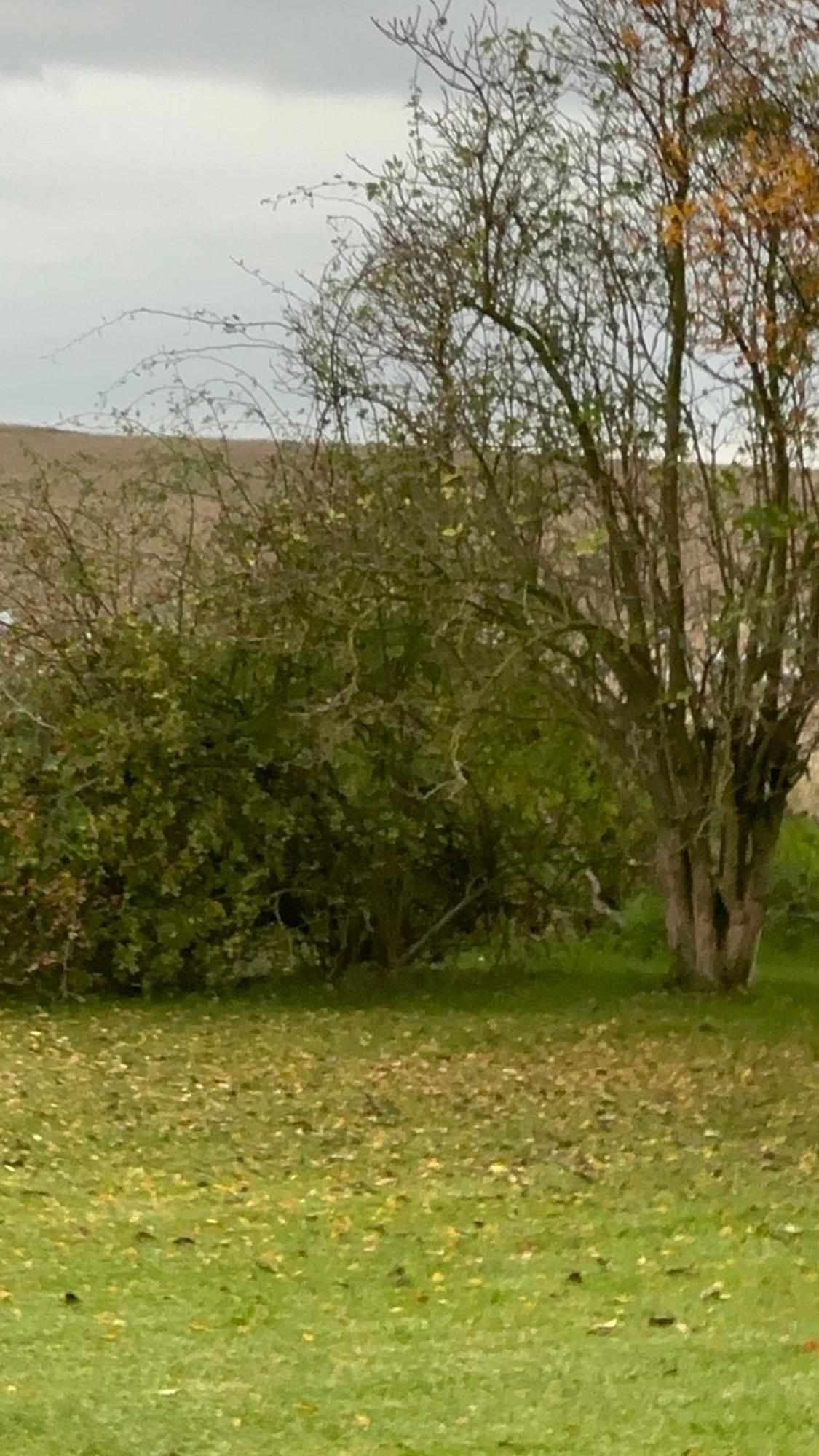 Polchow Fischerhuette IV Mobilheim מראה חיצוני תמונה